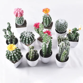 Umelé Zelené Rastliny, Šťavnaté Kaktus Bonsai, Vnútorný a Vonkajší Priestor Záhrady, Nákupné Centrá,Kancelárie Ploche Displeja Kvety