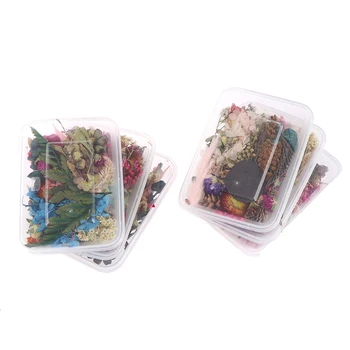 1 Box Skutočný Mix Sušené Kvety pre Živicové Šperky Suché Rastliny Lisované Kvety, Takže Plavidlá DIY Príslušenstvo