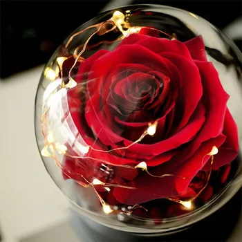 2 LED Režim Lighte Večný Rose Konzervované Kvet V Sklenenou Kupolou Deň Matiek Narodeniny Darček pre Dievčatá Svadobné Party Domova