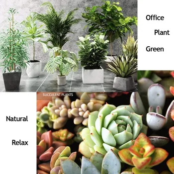 Biologické Organické Hnojivo Zelená Všeobecné použitie, Bezpečné a Znečistenia Bezplatné Používanie Kvet Rastlinných Potravín pre Garden Bonsai 500g
