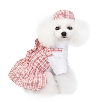 Pawstrip Princezná Psa Šaty Letné Oblečenie pre psy, Šteniatka Sukne Chihuahua Pomeranian Oblečenie spoločenské Šteňa Šaty Pre Malé Psy XS-XL