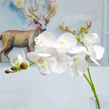 2 Vidlica 3d Tlač Phalaenopsis Orchidey Ldyllic Krajiny Kvet Tabuľka Lnterior Domáce Dekorácie Umelý Kvet Hotel Príslušenstvo
