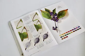 Štyri ročné obdobia Používať akvarel, aby kvety, tráva a lístie maľovanie knihy / Zero základné akvarel samostatne štúdia