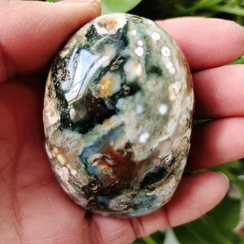 Prírodný kameň Morských jaspis palm liečivé kryštály Dekoratívne zber kamene a kryštály