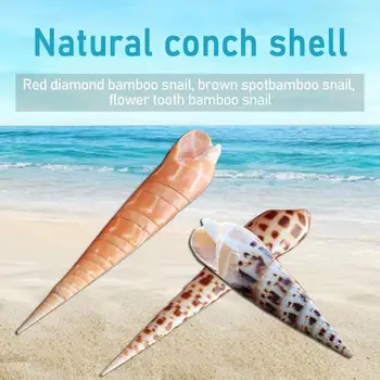 Prírodné Conch Shell Red Diamond Bambusu Slimák Hnedé Vzorom Snail Bambusu Kreatívny Zber Dekorácie Zub Mieste Kvet J8G8
