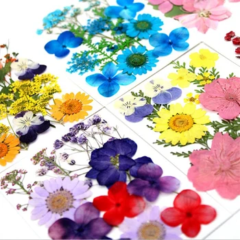 DIy Kvet Razba Malý Kvet Oblasti Kombinácia Lisované Kvet Materiál Pack List Vložiť Maľovanie