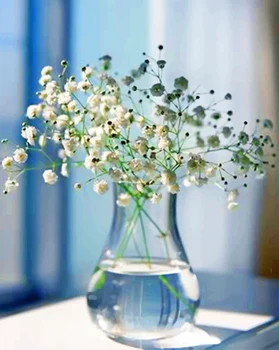 《Transparentné váza》 obrázok maľovanie podľa čísel domov dekor narodeninám quadros decorativos