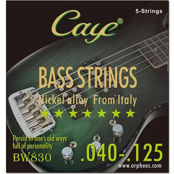 CAYEY 4/5/6pcs Reťazce Electric Bass Strings Nastaviť Šesťhranné Oceľové Jadro Vnútorného Drôtu z Nehrdzavejúcej Ocele Vonkajšie Drôt Basová Gitara Reťazec