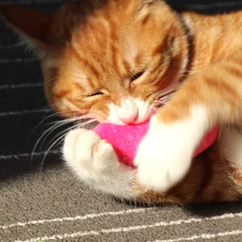 Zuby Brúsenie Catnip Hračky, Zábavné Interaktívne Plyšové Cat Hračka Pet Mačiatko Žuvanie Vokálne Hračka Pazúry Palec Skus Mačka mint Pre Mačky
