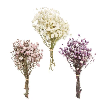 Mini Dekoratívne Sušené Kvety Babysbreath Kvety Kytice Prírodné Rastliny zachovať Kvetinový Svadobné Domáce Dekorácie