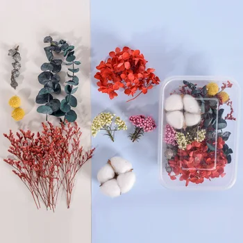 Druhý Kus Má 50% Zľavu Špeciálne Sušené kvety Prírodný Materiál Plastický Umenie Kvetinová Výzdoba Epoxidové Plesni, Hubám