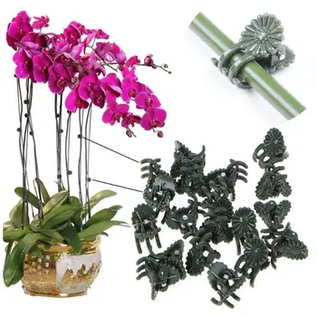 50Pcs Plastové Rastlín Podporu Klipy Orchidea, Kvet Kmeňových nepremokavé Viniča Svorka Vrúbľovanie Nástroj Záhrada Dodávky