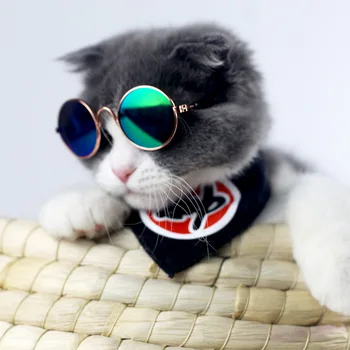 NOVÁ Mačka Príslušenstvo Mini Okuliare Psov Módne slnečné Okuliare Cat Veci Pes Príslušenstvo Teddy Psa Osobné Trend domáce zvieratá