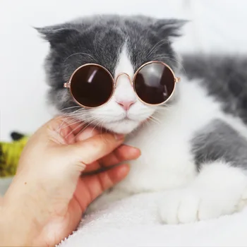 NOVÁ Mačka Príslušenstvo Mini Okuliare Psov Módne slnečné Okuliare Cat Veci Pes Príslušenstvo Teddy Psa Osobné Trend domáce zvieratá