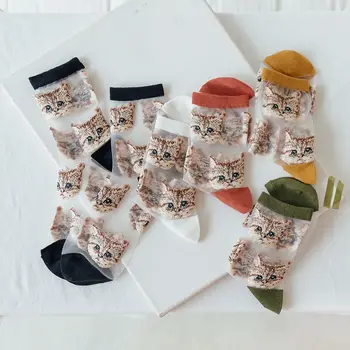 2020 Nové Letné dámske Ponožky Kawaii Sladké Roztomilý Vtipné Mačku Dámy Crystal Radi Japonské Transparentné Cartoon Hodváb Sox pre Dievča