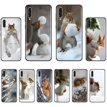 Veverička v snehu Telefón puzdro Pre Samsung Galaxy M10 20 30 40 50 70 71 6S A2 A6 A9 2018 J7 CORE PLUS STAR S10 5G C8