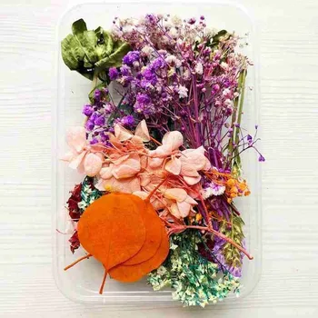 1 Box Prírodné Sušené kvety Suché Rastliny Skutočné Kvety Aromaterapia Sviečka Epoxidové Živice Náhrdelník Šperky DIY Robiť Plavidlá Príslušenstvo