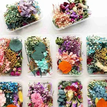 1 Box Prírodné Sušené kvety Suché Rastliny Skutočné Kvety Aromaterapia Sviečka Epoxidové Živice Náhrdelník Šperky DIY Robiť Plavidlá Príslušenstvo