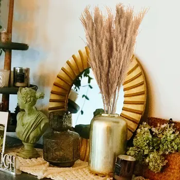 10PCS Sušené Metla Reed DIY Svadobné Prírodnej kvalitnej Stonka Reed Trávy Sušené kvety kaviareň Domáce Dekorácie